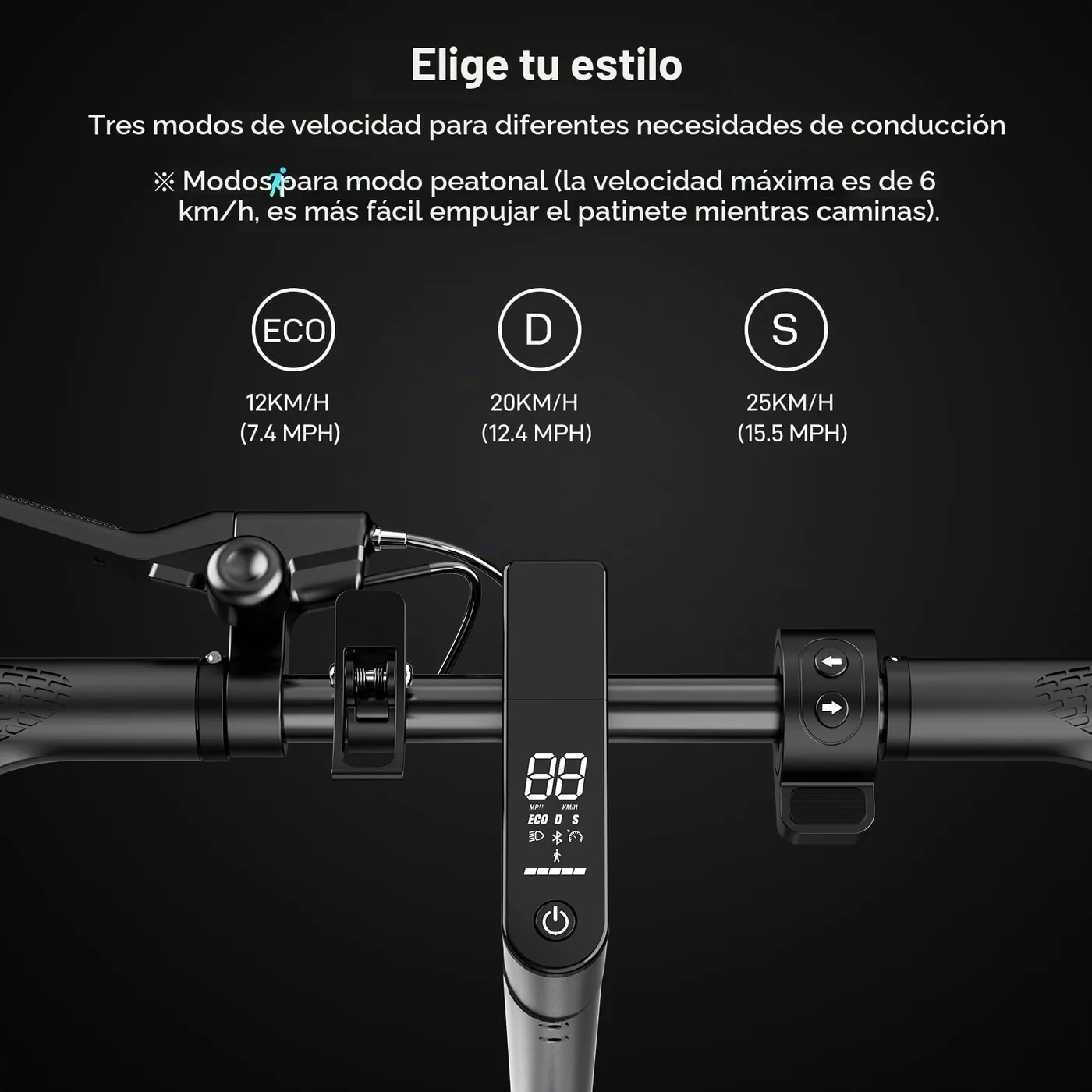 RCB R19 — foto 7